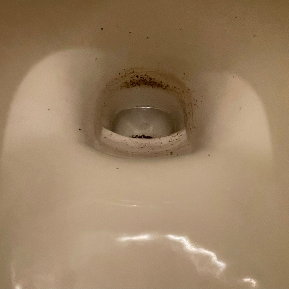 トイレの黒ずみ
